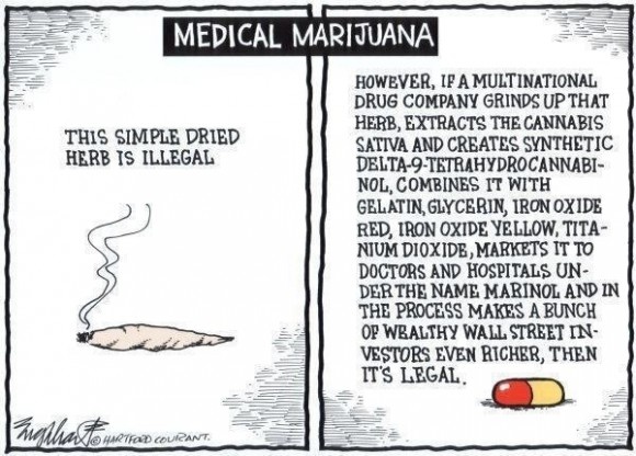 Medical Marijuana Cartoon