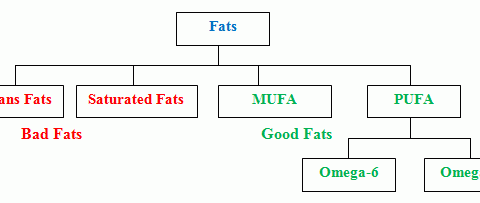 classification of fats