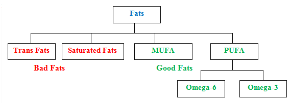 classification of fats