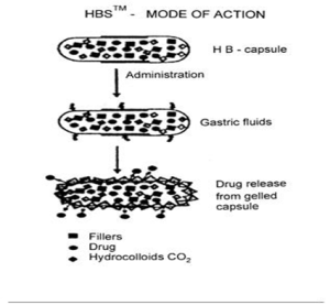 Working principle of the hydrodynamically balanced system within the gel structure