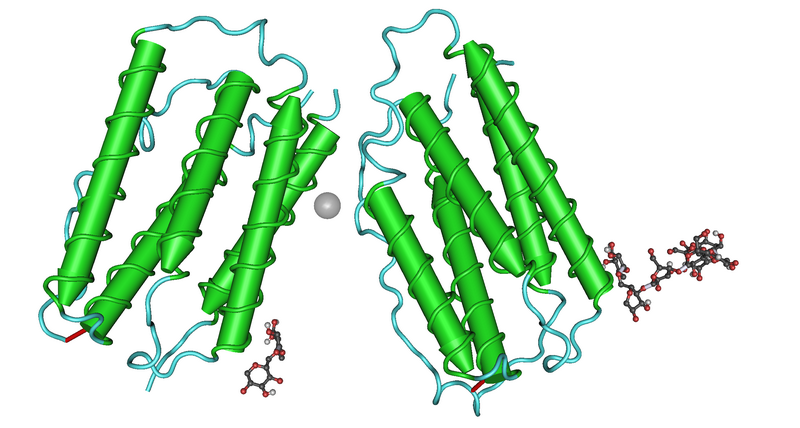 biosimilar products