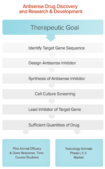 Antisense drug discovery and research and development