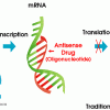 Antisense Drugs