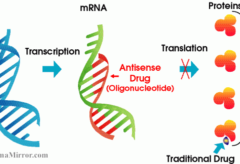 How antisense drugs work