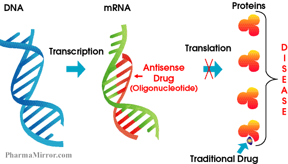 How antisense drugs work