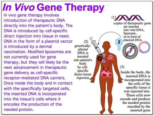 In vivo Gene Therapy