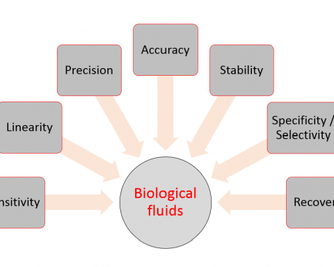 Main validation parameters of bioanalytical methods