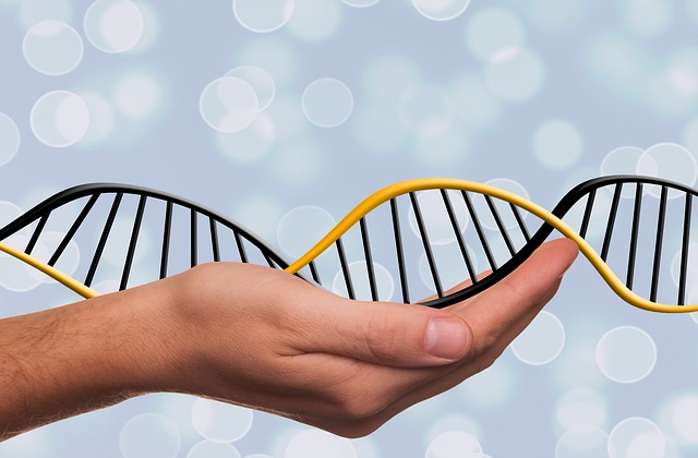 Accessible DNA Testing and Its Impact on the Pharmaceuticals