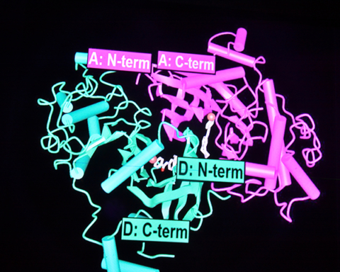 Importance of Proteomics- Proteomics Has Now Become Vital for Early Disease Diagnosis