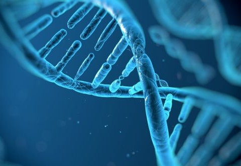 US$3 Bn Genealogy Products and Services Market Driven by Surging Demand for DNA Testing: Fact.MR Study