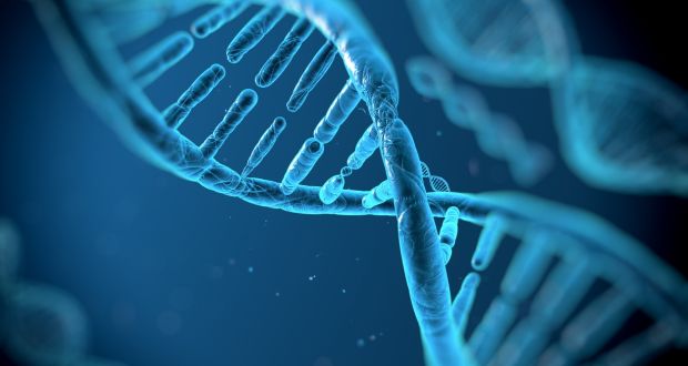 US$3 Bn Genealogy Products and Services Market Driven by Surging Demand for DNA Testing: Fact.MR Study
