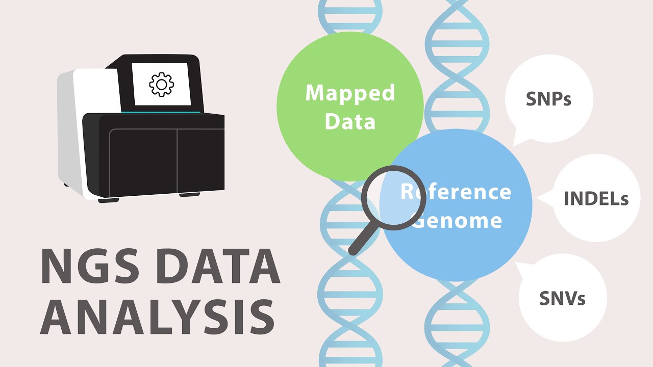 NGS Data Analysis Software