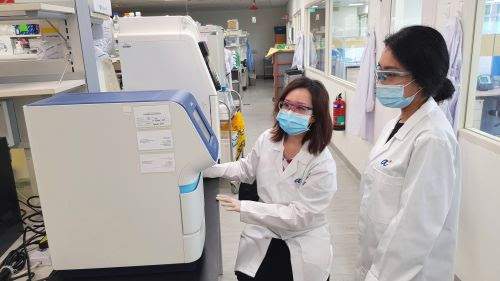 Scientists from the Experimental Drug Development Centre, A*STAR, performing real-time Reverse Transcription-Polymerase Chain Reaction (RT-PCR) to amplify the genetic material from ETC-159 clinical samples. From L-R: Ms Sylvia Gan, Senior Research Manager; Ms Nurul Rozaini, Research Associate (Photo credit: A*STAR)