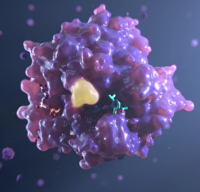 The AMG 510 model binding the KRAS which is mutant. Binding is irreversible, hindrance constant is viable (nanomolar) in pharmacodynamics terms. Be that as it may, it's effectiveness should be demonstrated clinically. One day this synthetic compound may hit the market and become popular among cancer patients.