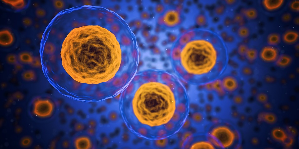 How Much Does a Monoclonal Antibody Cost