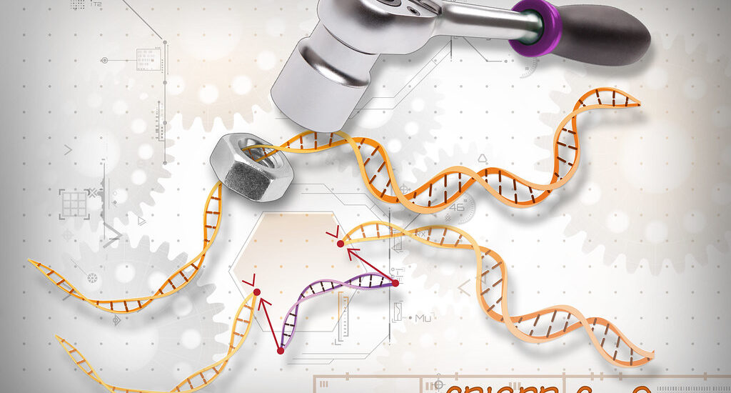 Credit: Ernesto del Aguila III, National Human Genome Research Institute, National Institutes of Health