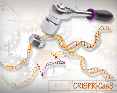 Credit: Ernesto del Aguila III, National Human Genome Research Institute, National Institutes of Health